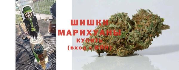 ГАЛЛЮЦИНОГЕННЫЕ ГРИБЫ Абаза