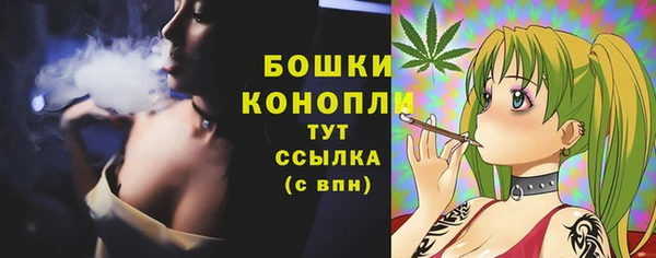 ГАЛЛЮЦИНОГЕННЫЕ ГРИБЫ Абаза