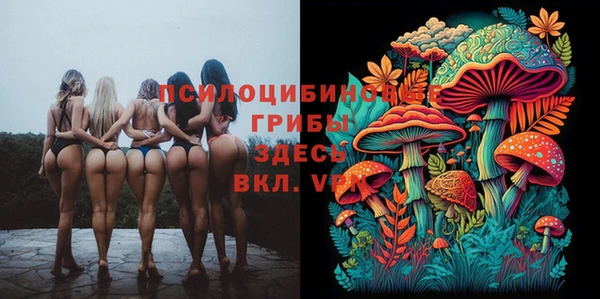 соль курить ск Алексин
