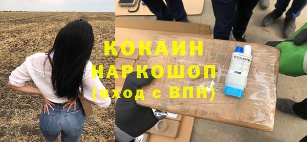 ГАЛЛЮЦИНОГЕННЫЕ ГРИБЫ Абаза